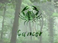 水逆莫慌！巨蟹座做好以下准备