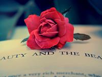 哪些生肖男吃着碗里瞧着锅里？