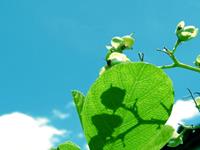 拥有正能量特质的生肖都有谁？