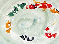 12生肖2016年的转运神器