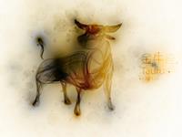 金牛座一辈子执意追求的东西