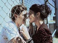 占卜另一半对你还忠心吗？