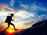 新年会因出游而有好运的生肖