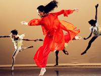 恋爱时不轻易放手的生肖