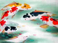 来看看你的生肖风水鱼