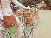 狂月2016年十二星座运势