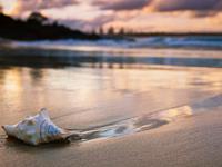 水蓝色眼泪2016年3月双鱼座运势