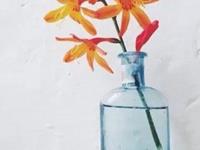 Julia Chen 2016年3月双鱼座运势