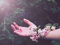 玛丽亚-德西蒙尼十二星座春季爱情运势