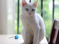 解梦角度看自己的通灵能力