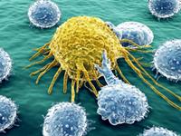 血型与癌症的关系