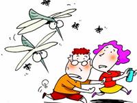 蚊子君居然不爱B型血？