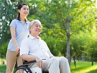 由《旋风孝子》看12星座孝心