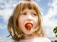 生肖中谁最有口福？