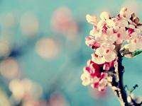 生肖决定了你这辈子是穷是富