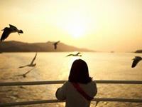 占卜你会如何面对失恋