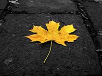 12星座感觉被无视的一瞬间