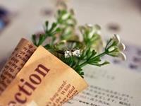 测试他值得你托付一生吗