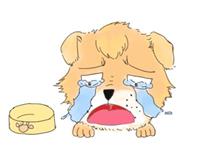 男人必须明白的道理