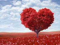 2016年4月12星座的爱情起伏