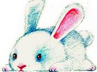 12生肖的吃醋表现—兔