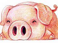 12生肖的吃醋表现—猪