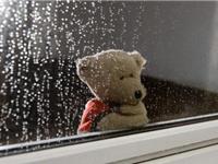 测试你们的爱情正下哪种雨