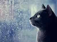 测试面对死亡你有啥想法