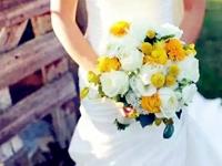 五一节桃花最旺的生肖