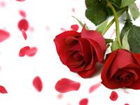 催旺桃花运，十二星座有妙招