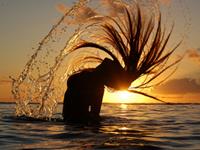 乔瑟夫2016年5月金牛座运势