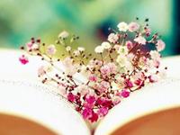 塔罗牌占卜你的洒脱是真是假