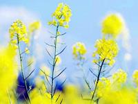 塔罗牌占卜你的小气吝啬度