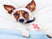 测你最容易被什么样的人伤害