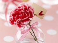 十二生肖母亲节适合送什么