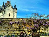 测你会对外人建起怎样的围墙