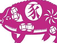 生肖猪你不知道的那些事