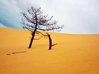 测试你的未来会是怎样的走向