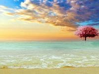 测试你会成为别人的备胎吗