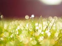 占卜你是否需要休息一段时间