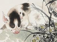 1995年属猪的人2017年运程