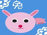 生肖兔在几岁运气爆好