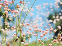 塔罗占卜你的爱情有没有丢东西