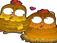 生肖鸡本月还会情缘四起么