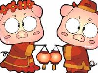 你的生肖猪前任是否还在爱着你