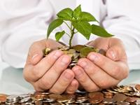 钱钱钱！就爱工作赚钱的生肖