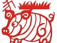生肖猪暴富年份大揭秘