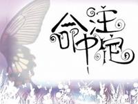 占卜你命中注定的ta是什么类型