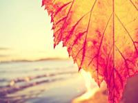 测爱情你有何不能说的秘密