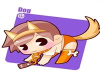 生肖狗女最喜欢的浪漫爱情